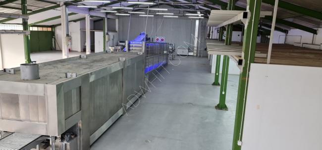 Automatic Syrian bread production line - Bread ovens - Automatic bakeries - Bakery equipment