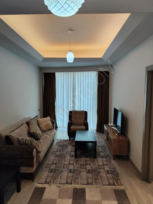 1 + 1 luxury furnished and unfurnished apartments for annual rent in Istanbul
