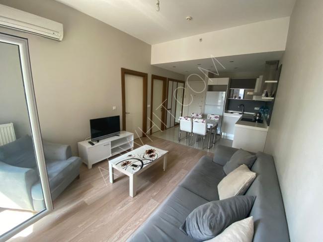1+1 furnished apartment for permanent and temporary rent in Basaksehir