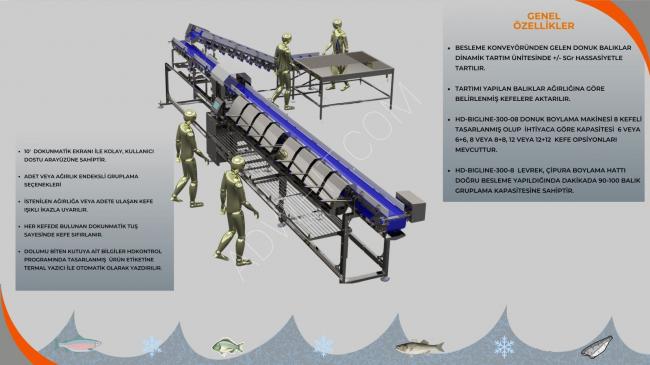 Donmuş Balık Boylama Ebatlama Makinası 100-120 Adet/Dakika
