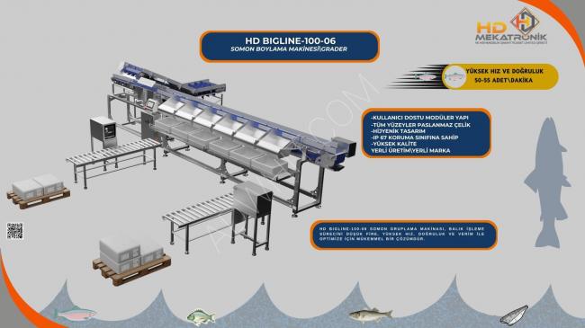 Salmon sorting and sizing machine, 50-55 pieces per minute
