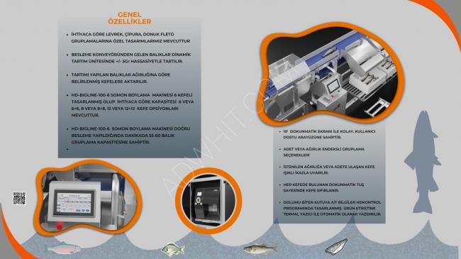 ماكينة تصنيف و تحديد حجم سمك السلمون 50-55 قطعة/دقيقة