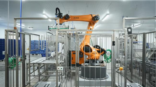 Packaging machine with a robotic arm