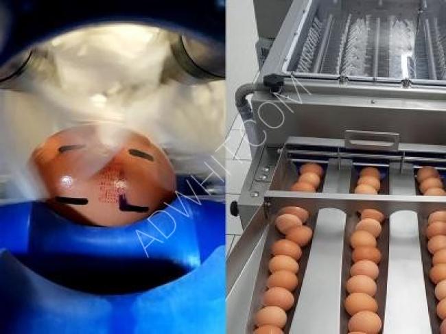 Egg washing machine with conveyor, 9600 pieces/hour