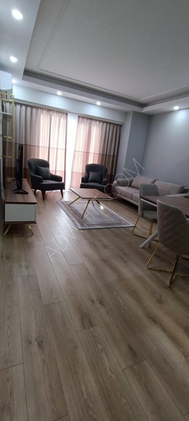 1+1 furnished for annual rent