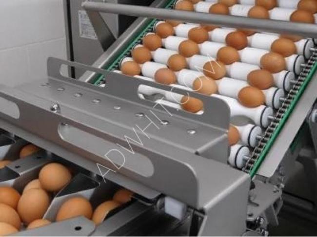 Egg breaking and separating machine, 19,200 eggs per hour