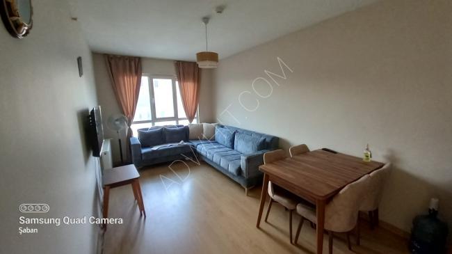 1+1 apartment in a complex for annual rent, fully furnished