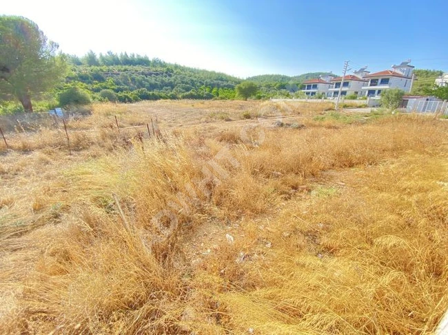 A 440 square meter corner plot with a 30% building permit for sale in Seferihisar, Doğanbey