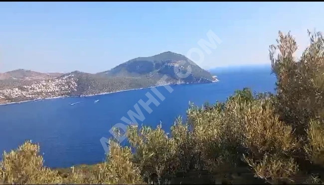 Kaş ta yerim olsun bu fırsat kaçmaz 