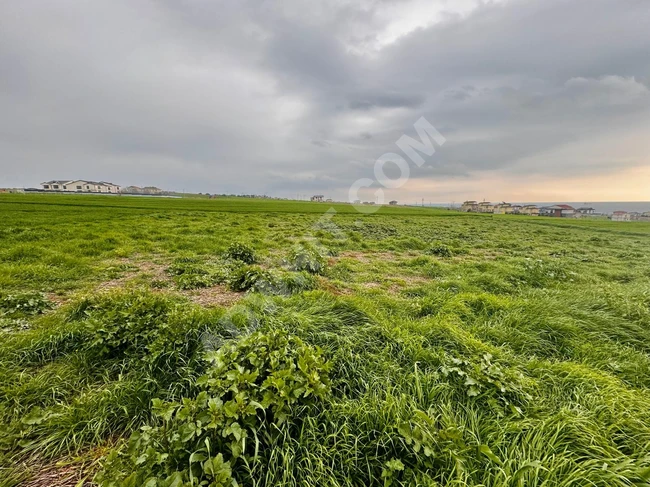 Land for sale in Silivri, Istanbul, ready for villa construction