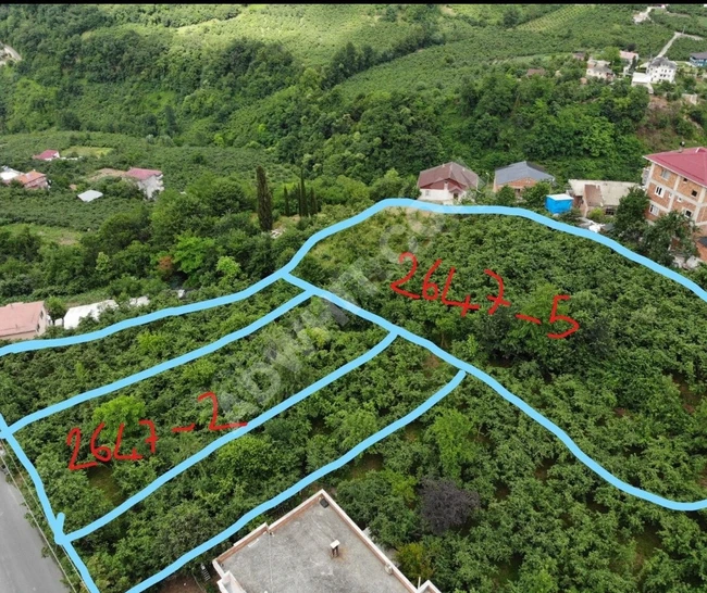 Plot of land for sale opportunity