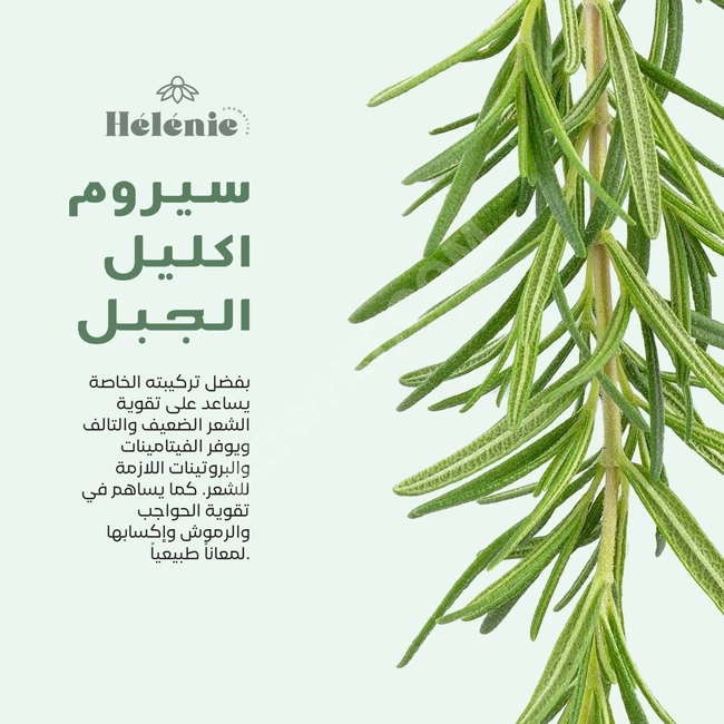 Rosemary oil