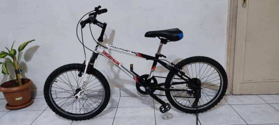 Used 20 inch bike for sale