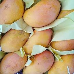 فواكه