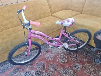 Used bicycle for sale