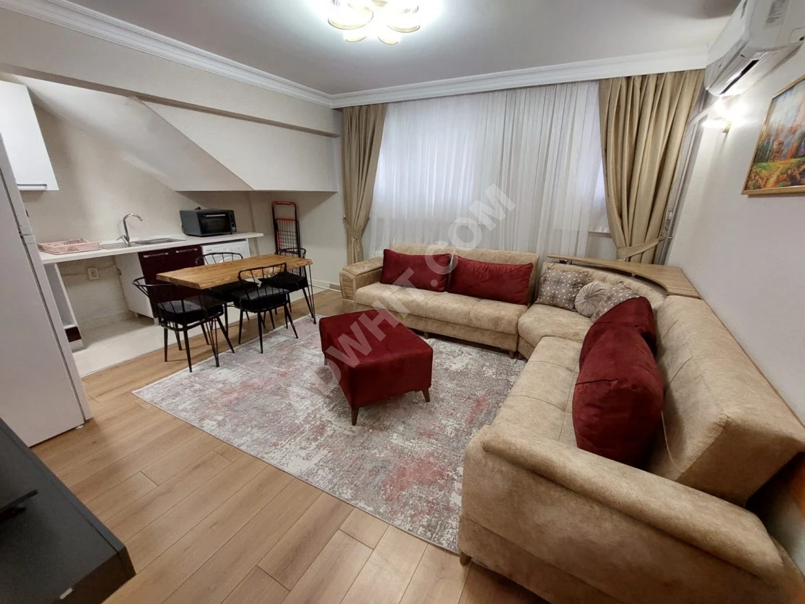 Luxe apartment for tourist rent within Suite in Fatih area Price 70